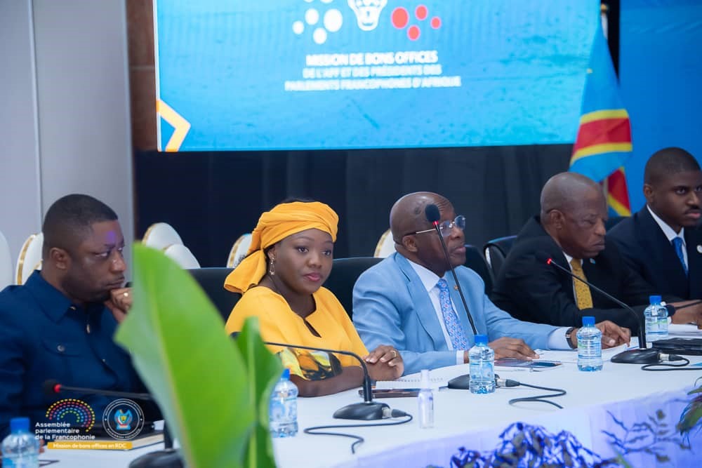 Diplomatie Parlementaire, RDC : les Députés Nationaux et Sénateurs section congolaise de l’APF plaident pour le retrait des troupes rwandaises à l’est de la RDC